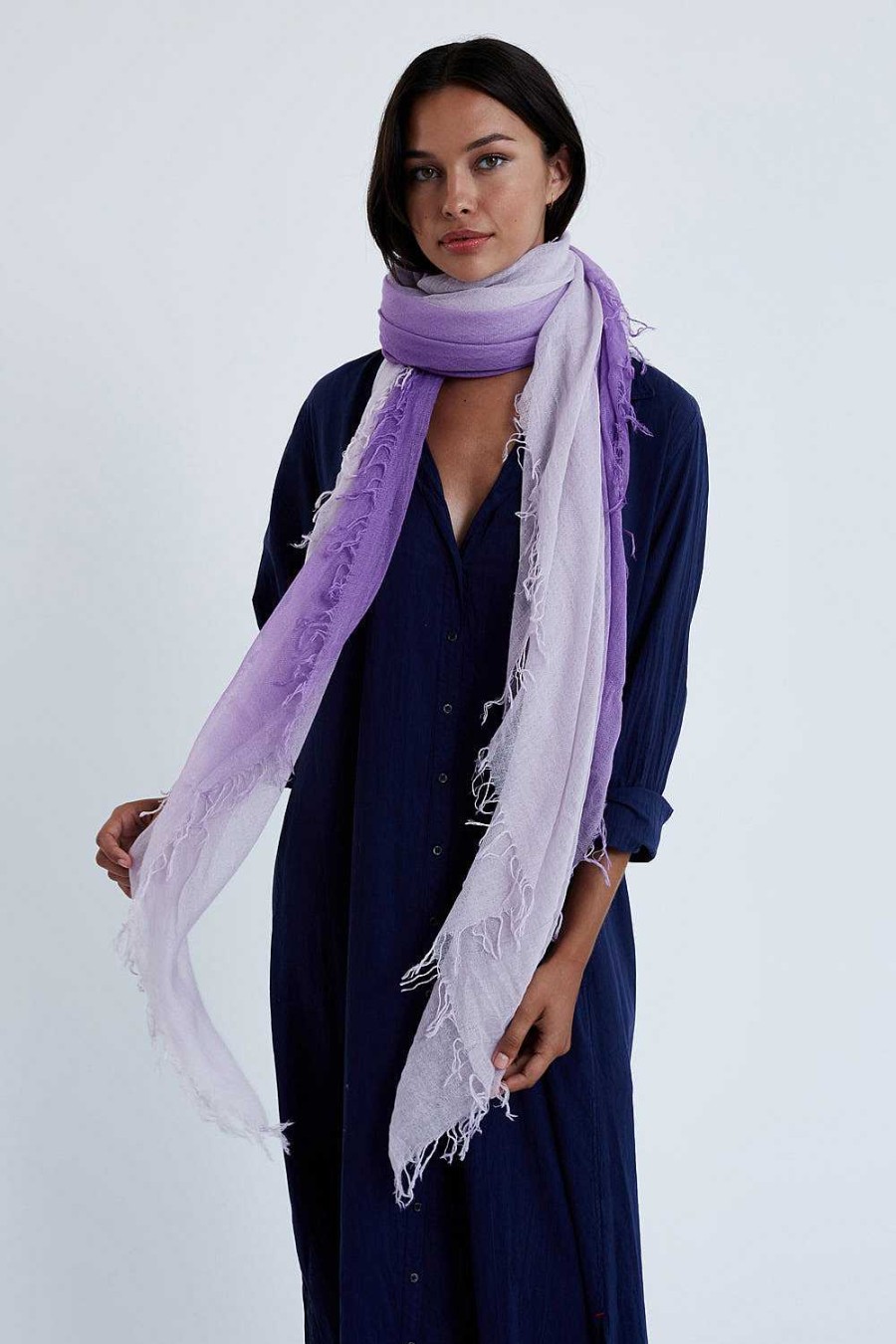 Accessory Chan Luu | Bellflower Dip-Dyed Cashmere And Silk Scarf