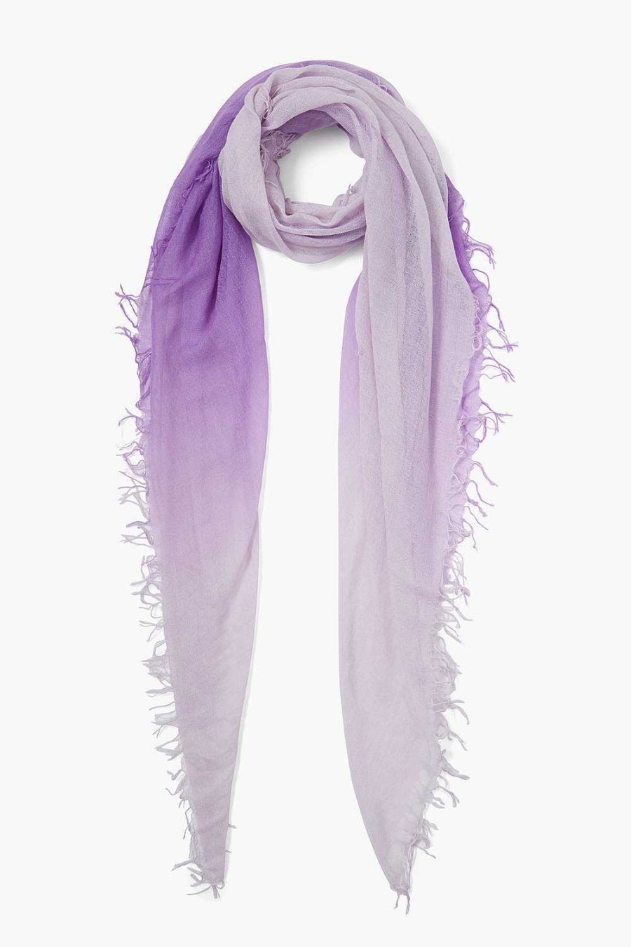 Accessory Chan Luu | Bellflower Dip-Dyed Cashmere And Silk Scarf