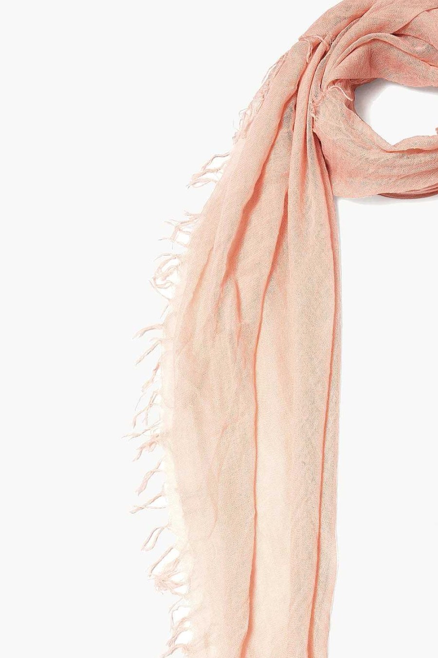 Accessory Chan Luu | Tropical Peach Cashmere And Silk Scarf