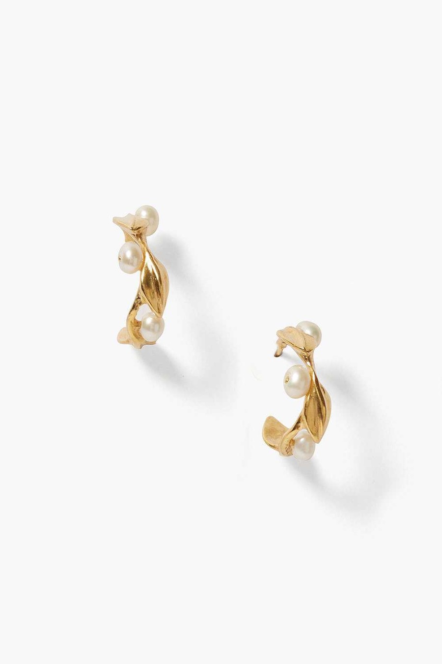 Jewelry Chan Luu | Olive Branch Hoop Earrings Mini Gold