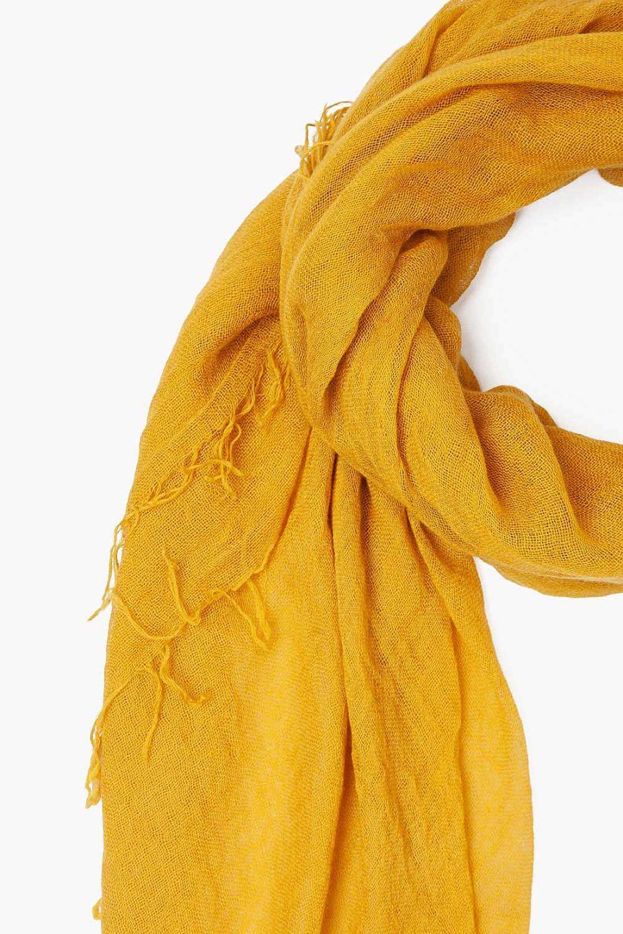 Accessory Chan Luu | Arrowwood Cashmere And Silk Scarf