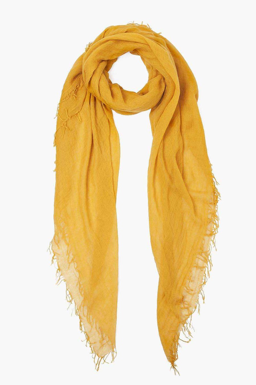 Accessory Chan Luu | Arrowwood Cashmere And Silk Scarf