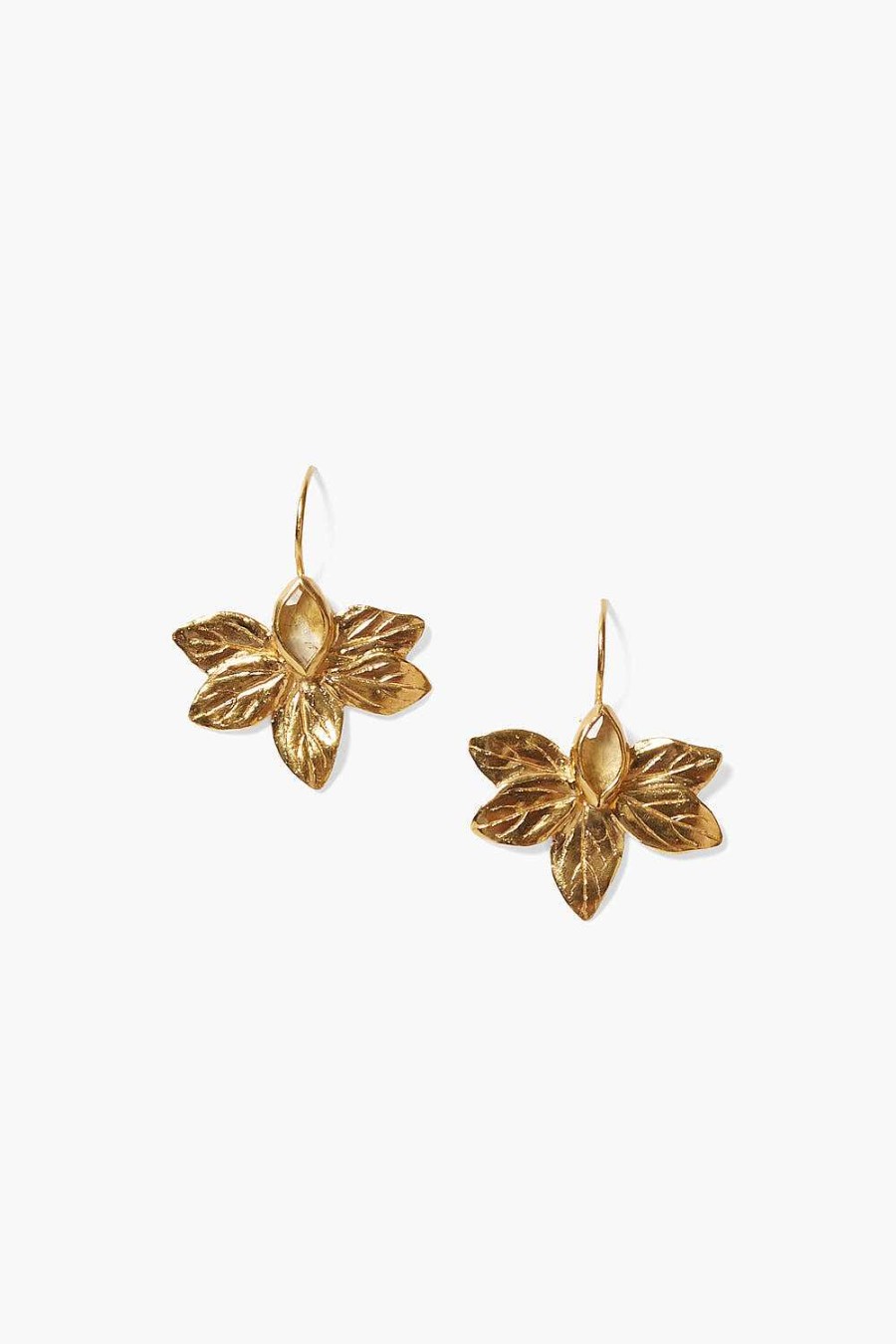 Jewelry Chan Luu | Sylve Earrings Citrine